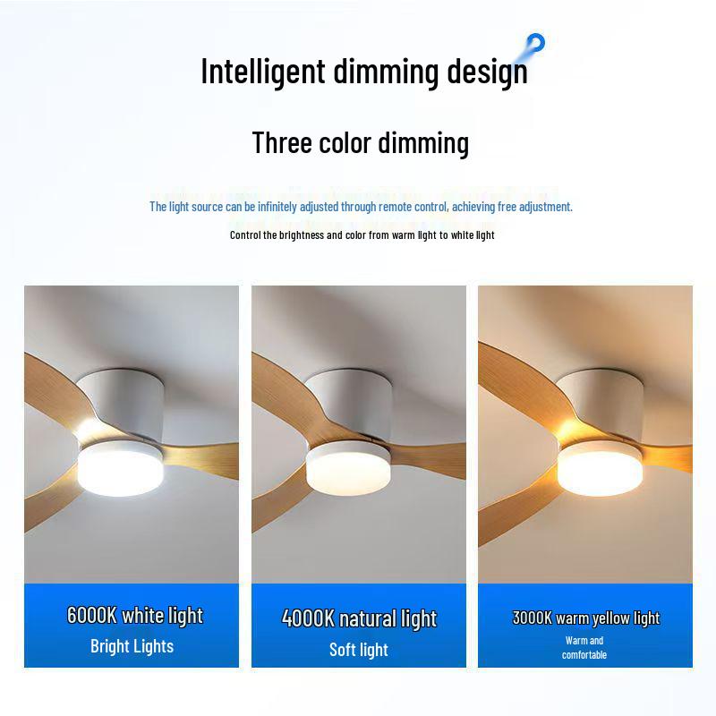 Minimalist Ceiling Fan Light for Living Room, Dining Room & Bedroom