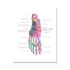 Moderne kleur menselijke anatomie diagram medische skeletstructuur voet poster Nordic canvas educatieve decoratieve schilderkunst aan de muur