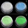 2g Mirror Effect Luminous Nail Powder Fluorescent Glitters Manicure Pigment