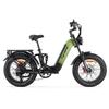 Cyrusher Kommoda 3.0 Adult Outdoor E-Bike 48V20AH Battery 250W Motor City Electric Mountain Bike 20 Inch Off-Road Tires Electric Bicycle