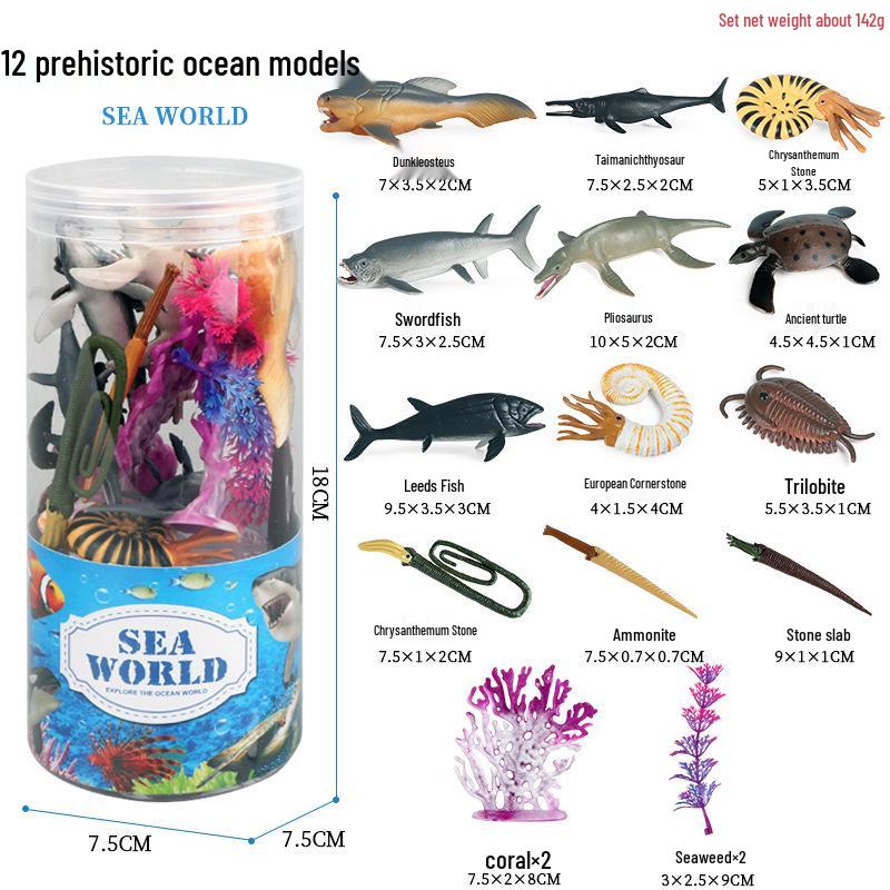 Children's Cognitive Toys: Frog Tadpole Growth Cycle Models