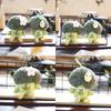 Broccoli Lovely Plush Keychain Soft And Creative Stuffed Vegetable Toy