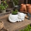 Talos 3D Printed Sleeping Cat Flowerpot, Mini Desktop Planter, Decorative Plant Holder for Succulents Small Green Plants