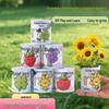 Creative Pull-Tab Can Potted Plant: Indoor Mini Green & Flowering Plant for Kids’ Desktops