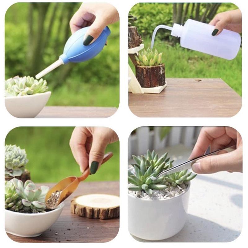 Succulent Care Mini Tool Set: Complete Gardening Kit for Micro-Landscapes & Flower Care