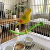 Plastic Swing Perch Toy Spring Wobble Bird Chewing Stand Parrot Play Rack  for Bird Cage Aviary