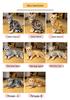3D Cat Plush Toy Throw Pillow - Cute Stereo Cat Doll for Kids' Birthday Gift