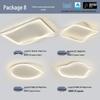 Modern Minimalist Ceiling Light Package with Smart Home Integration for Whole House