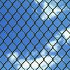 Steel Mesh Fence 0.8 x 15 m Green