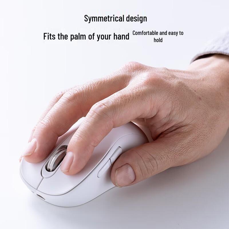 SANWA Dual Mode Rechargeable Wireless Mouse