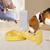 Water And Food Bowl For Cats Automatic Food Feeding Dishes For Puppies Foldable Leak Proof Large Capacity Cat Bowl Set For Food