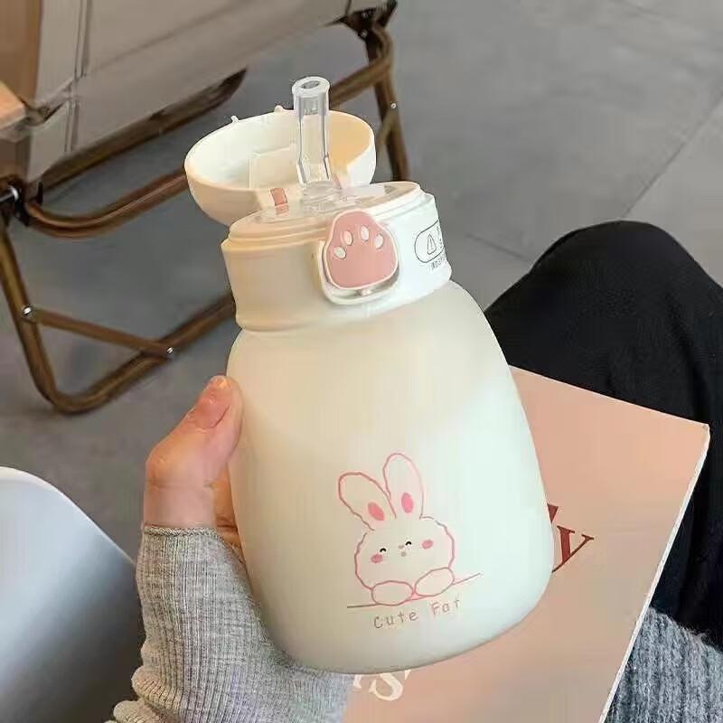 Cute Portable Glass Straw Cup