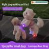 Luminous Night Walk Shoes for Pets: Ideal for Dogs & Cats of All Sizes