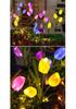 Low Voltage LED Solar Courtyard Light - Super Bright Tulip Stake, Waterproof for Outdoor Atmosphere