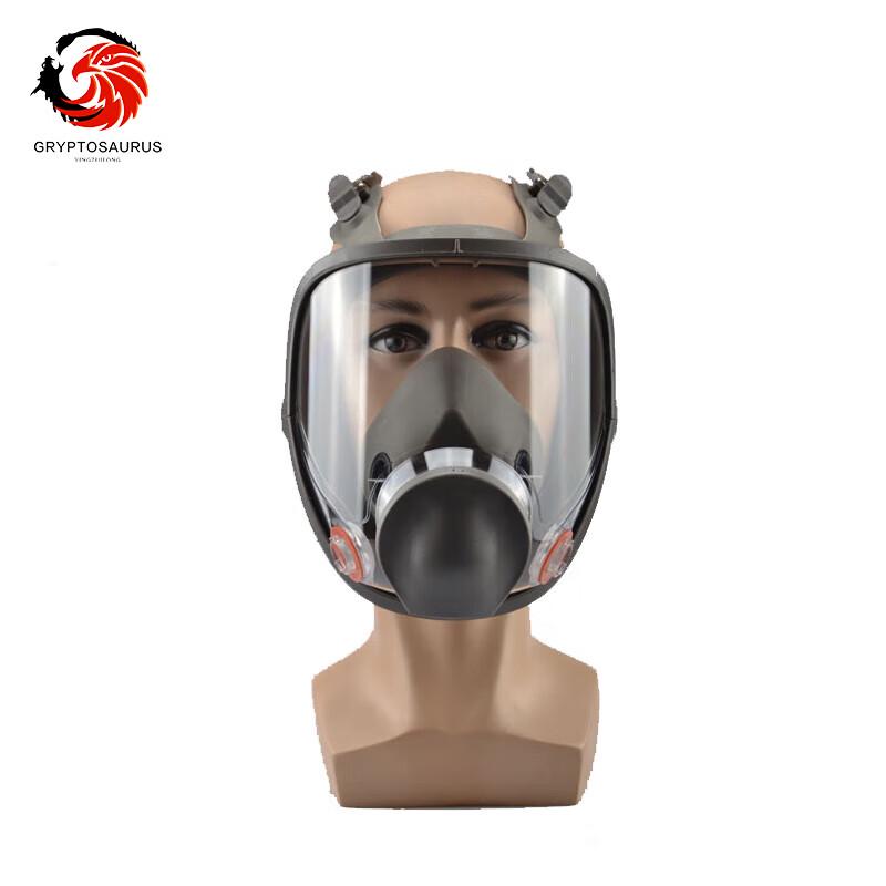 Eagle Beak Dragon 6800 KN95 Full Face Respirator Mask