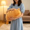 Lovely Plushes Cats Plushie With Soft Materials Great For Children And Adults