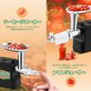 Poafamx Electric with 3 Types of Cutting 5 Vegetable Slicer Meatloaf Mincing Meat Intestine Vegetable Miso Bean Stainless Steel Steel Washable
