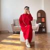 Elegant Knit Sweater Dress with Waistband - 2025 Spring/Autumn Collection
