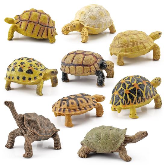Turtle Cognitive Toys Adorable Delicate Plastic Galapagos Tortoise Decoration Model for Kids