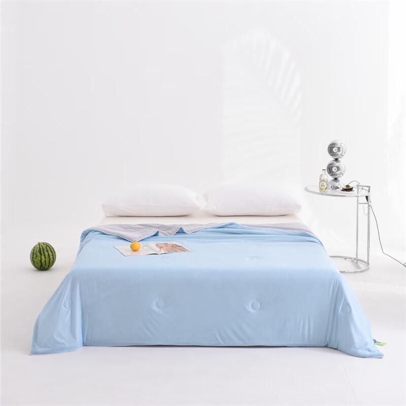 

BAIWEISI Ice Silk Summer Quilt