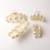 Elegant French Pearl Shark Hair Clip – Gentle Autumn & Winter Hair Accessory