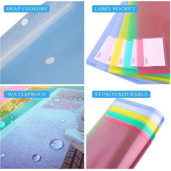10 Pack Plastic File Folders with Label Pockets - US Letter & A4 Size Clear Document Envelopes, Assorted Color Poly Organizers for Office School