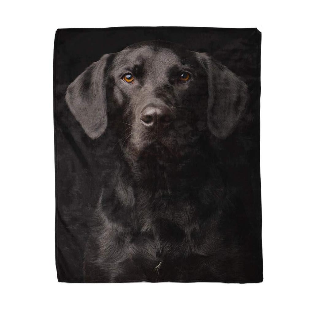 Labrador Printed Flannel Blanket Black Dog Blanket Pet Blanket Dog Lovers Gift Blanket