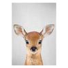 Realistic Furry Animals Cute Prints Poster Canvas Painting Hd Modern Wall Art Pictures For Living Room Bedroom Home Decoration