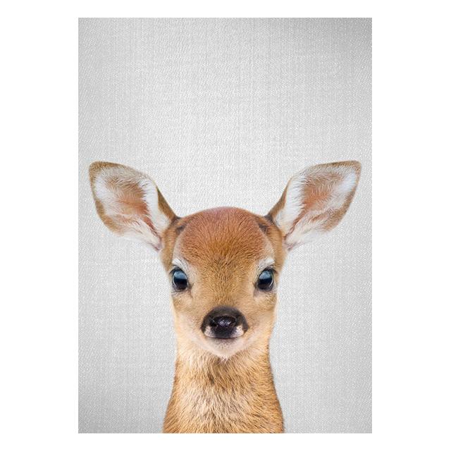 Realistic Furry Animals Cute Prints Poster Canvas Painting Hd Modern Wall Art Pictures For Living Room Bedroom Home Decoration