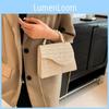 Trendy Medium Woven Handbag For Women With Single Chain Shoulder Strap In Beige