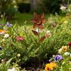 Metal Flowers for Outside Decorative Garden Stakes Flower Bed Decoration Plant Stakes Metal Art Outside Yard Art Outdoor