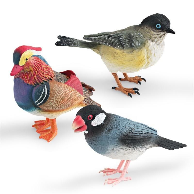 Animal Model Desktop Decor With Plastic Material For Educational Display And Bird Enthusiasts