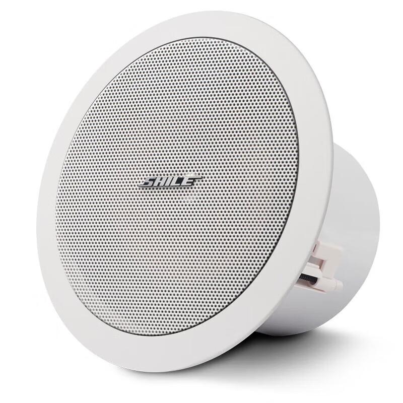 Shile 8-inch Conference Room Ceiling Speaker System CN plug (adapter included)