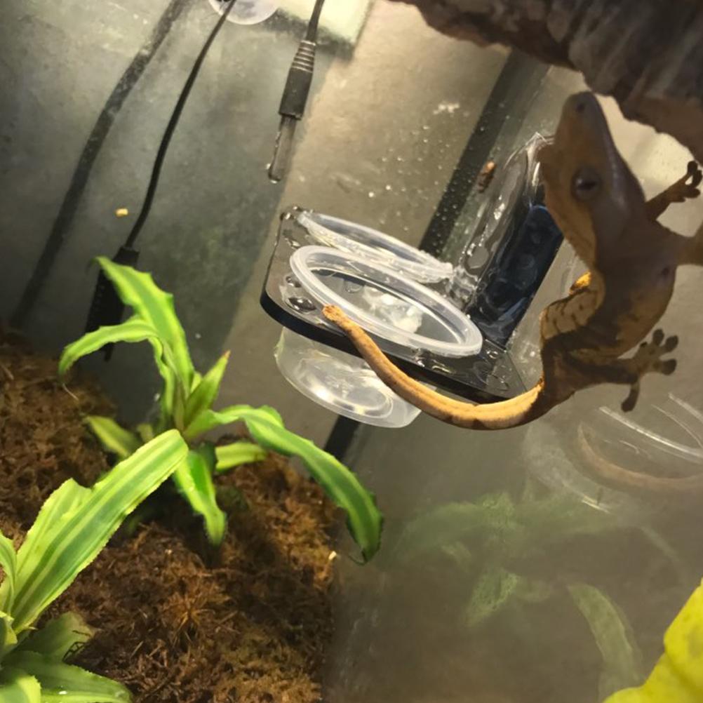 Reptile Food Bowl Insect Breeding Container Wall Hanging Water Dispenser for Spiders Lizards