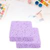2Pcs Painting Sponge Rectangle Absorbent Sponge Set with Storage Box for Crafting Clning