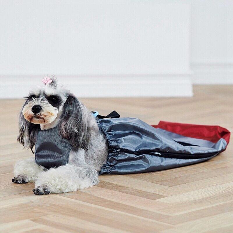 drag bolsa for paralyzed cat