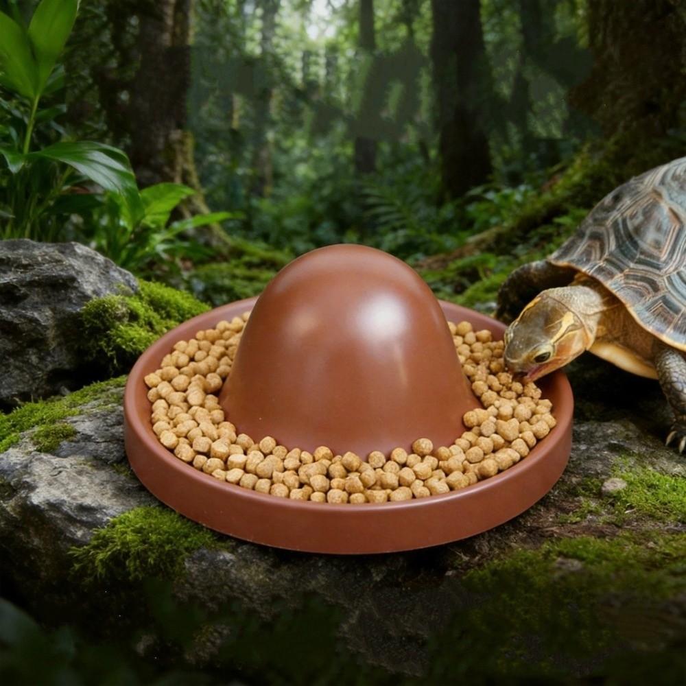 Plastic Reptile Feeder Bowl Round Reptile Water Pot Easy-Clean Feeder Ledge  for Amphibians