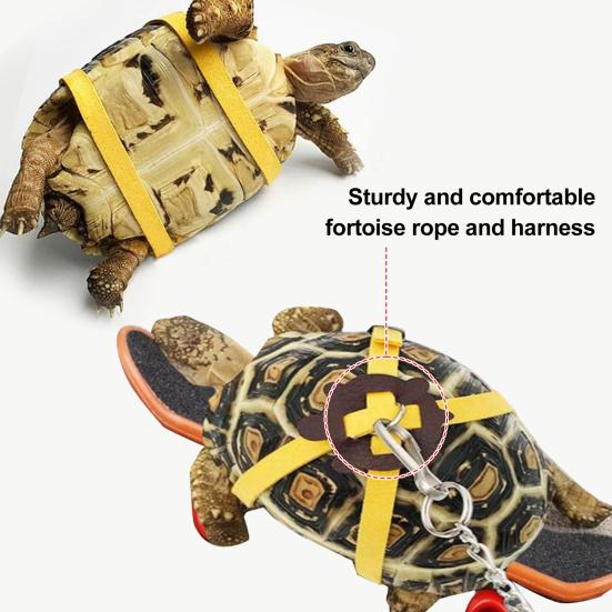 Verstellbare Schildkrötenleine und Skateboard-Set Outdoor-Trainingsgeschirr und Mini-Finger-Skateboard für kleines Haustier Bartagame Eidechse Schildkröte