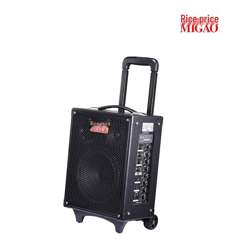 MiGao MG820A-LI Portable Outdoor Instrument Speaker