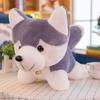 25-40cm Cute Pet Husky Plush Doll Erha Creative Doll Simulation Puppy Dog Accompany Send Children's Birthday Gifts