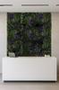 Green Wall - Plant Panel - Violet Flowers - Uv 50 X 50
