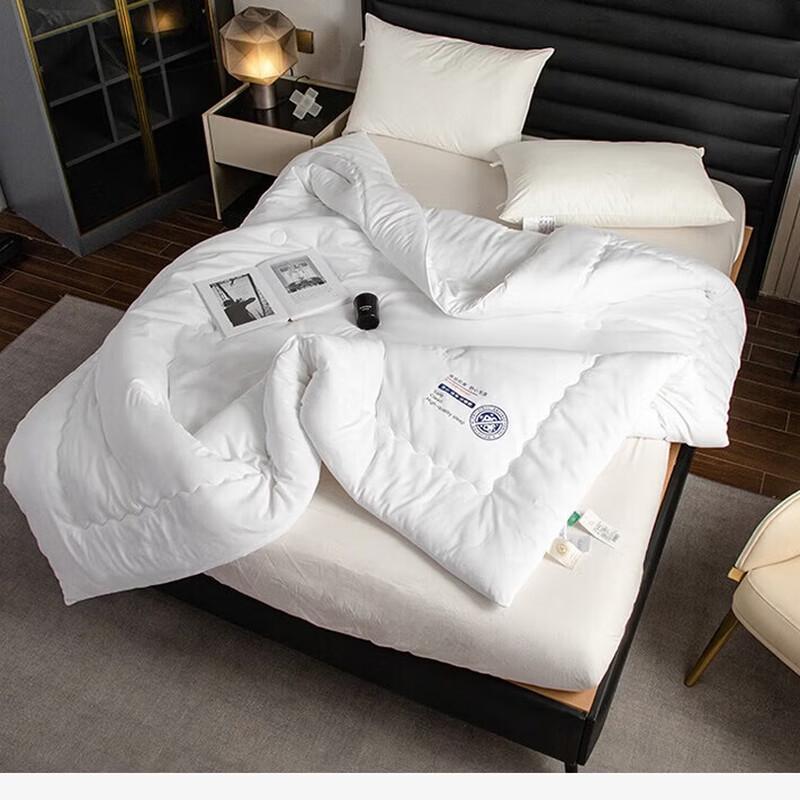 JOES HOME JDYM005 Warm All-Season Comforter