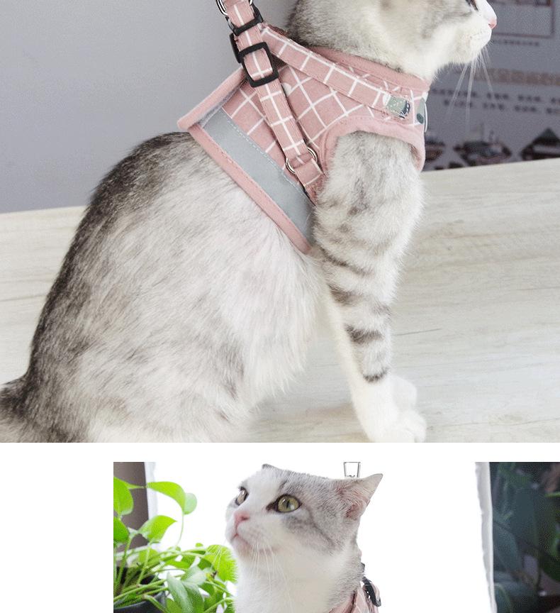 Escape-Proof Outdoor Cat Leash and Harness