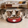 Pet Supplies: Modular Pet Bowls, Stainless Steel Dog Bowls, Colorful Non- Dog Food Bowls Supplies For Cats And Dogs.