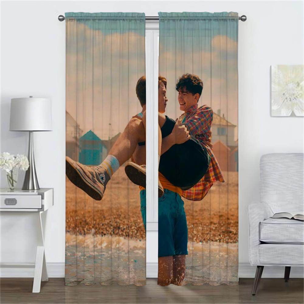 Window Curtain for Room 2 Panel Heartstoppers Modern Living Room Curtains Tulle for Bedroom Partition Home Interior Curtains