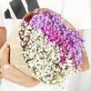 Baby's Breath Dried Flower Bouquet for Living Room Decor - Real Fresh Cut Flowers, Perfect for Gifting and Decorative Ornaments.