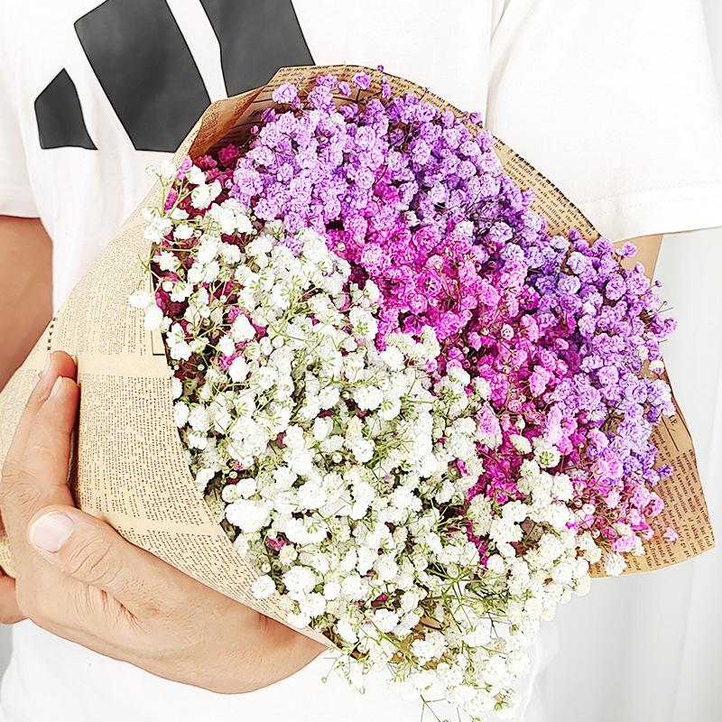 Baby's Breath Dried Flower Bouquet for Living Room Decor - Real Fresh Cut Flowers, Perfect for Gifting and Decorative Ornaments.