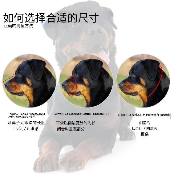 Dog Muzzle Medium and large dogs can adjust the mouth cage anti-bite and anti-barking non-toxic and breathable and do not fall