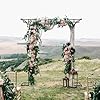 Garden Arched Branches with Ground Stakes, Steel Frame Support Grid Frame
