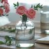 Transparente Glasvase Kleine Öffnung Rund Japanische Hydroponik Schreibtischdekoration Ornamente